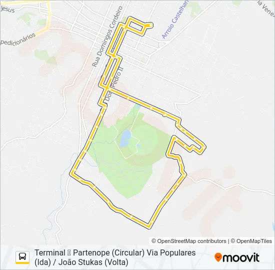 100 PARTENOPE Bus Line Map