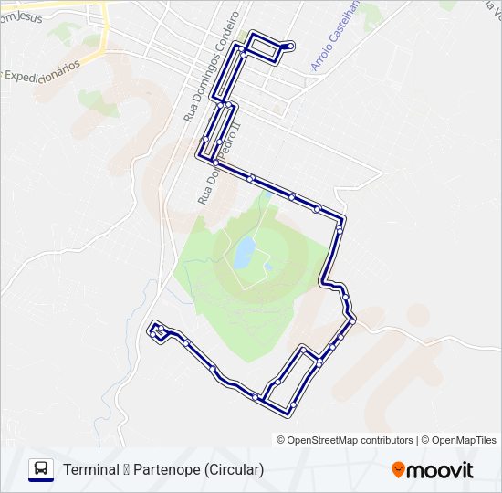 Mapa da linha 100 PARTENOPE de ônibus