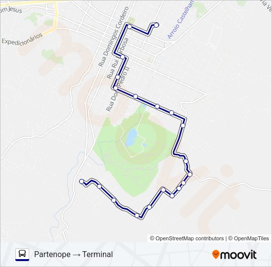 Mapa da linha 100 PARTENOPE de ônibus