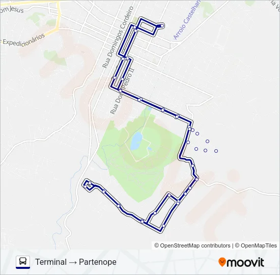 100 PARTENOPE Bus Line Map