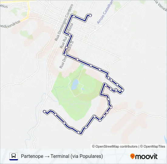 100 PARTENOPE Bus Line Map