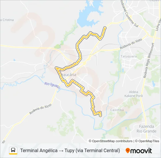L02 LINHÃO 02 (ANGÉLICA / TUPY) Bus Line Map