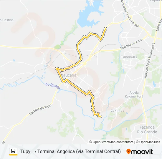L02 LINHÃO 02 (ANGÉLICA / TUPY) Bus Line Map
