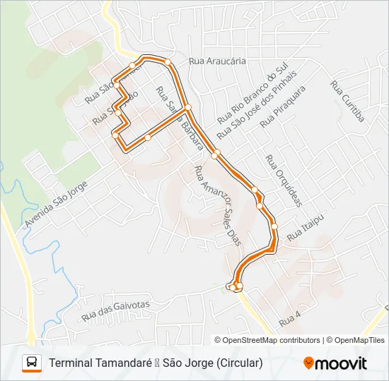 A17 CIRCULAR SÃO JORGE Bus Line Map
