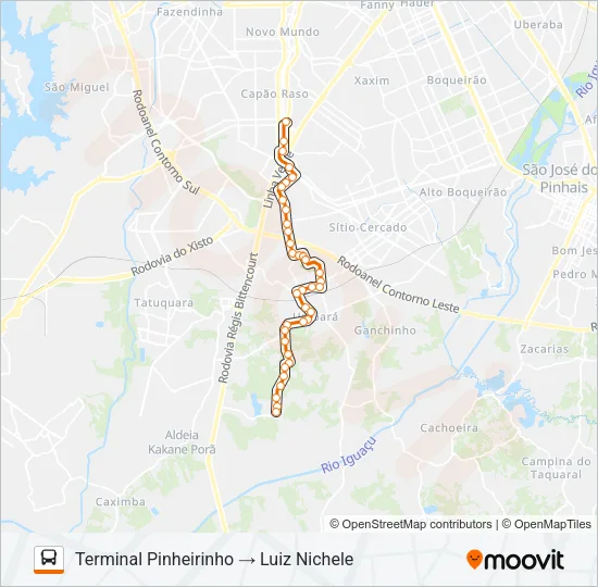 641 LUIZ NICHELE Bus Line Map