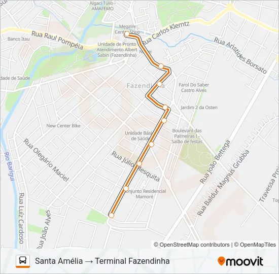713 SANTA AMÉLIA Bus Line Map