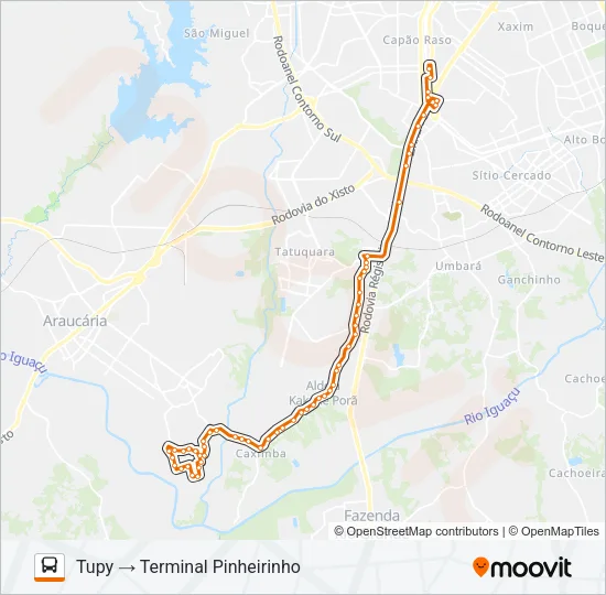 772 TUPY / JULIANA Bus Line Map