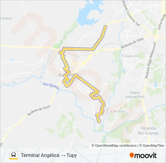 01 LINHÃO 01 (ANGÉLICA / TUPY) Bus Line Map