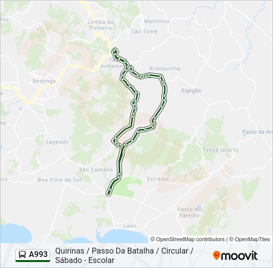 Mapa da linha A993 de ônibus