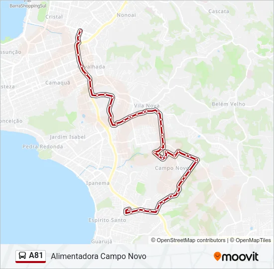 A81 Bus Line Map