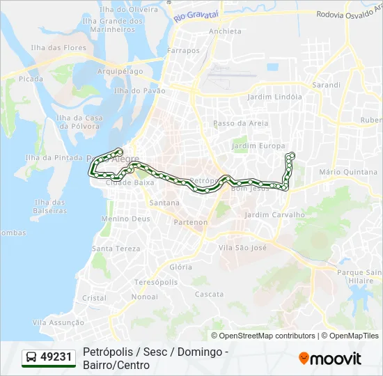 49231 Bus Line Map