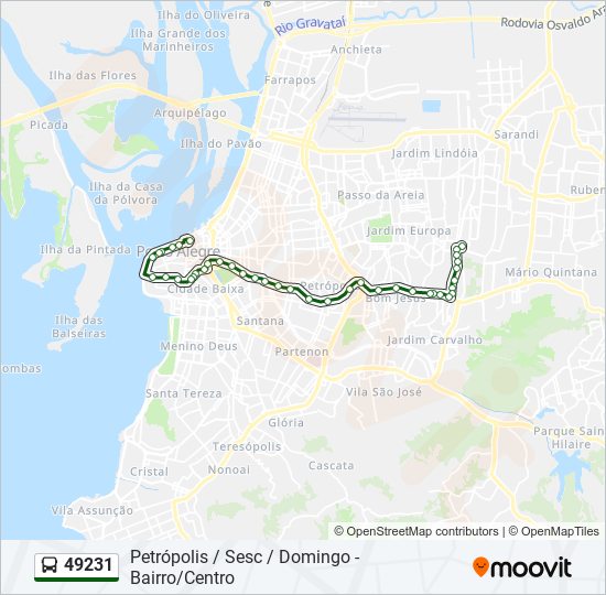 Mapa da linha 49231 de ônibus