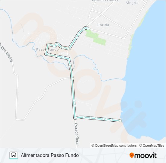 A161A ALIMENTADORA PASSO FUNDO bus Line Map