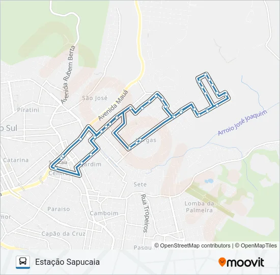 L01 COLINA VERDE Bus Line Map