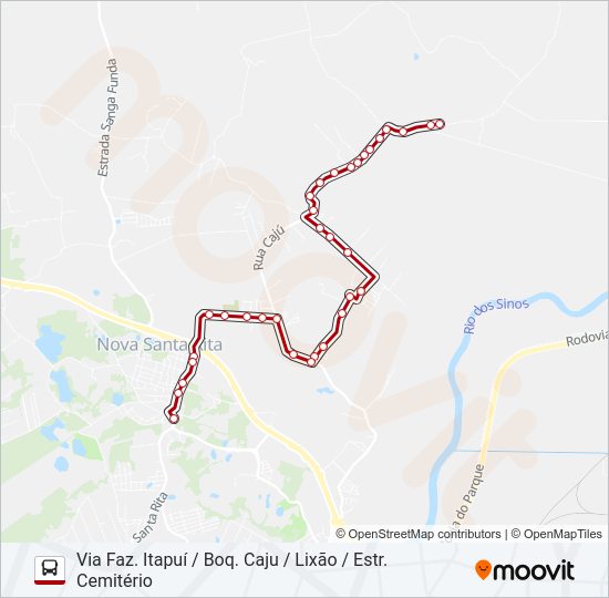 R60 PICADÃO / CAPÃO DO PADRE Bus Line Map