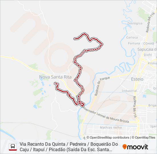R60 PICADÃO / CAPÃO DO PADRE Bus Line Map