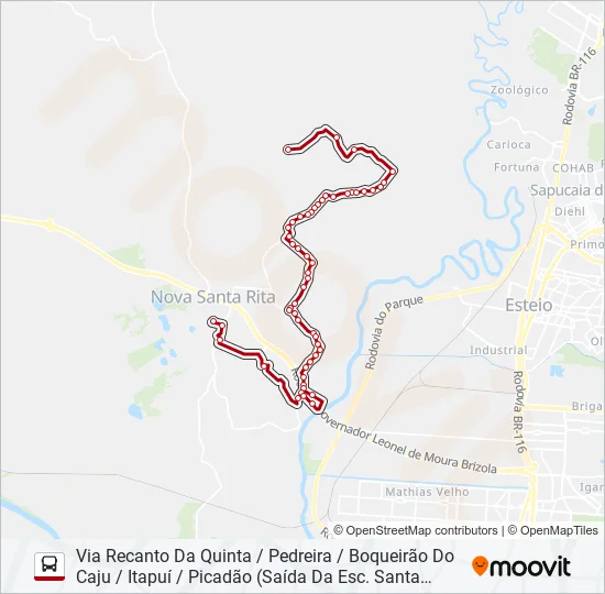 R60 PICADÃO / CAPÃO DO PADRE Bus Line Map