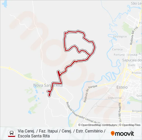 R60 PICADÃO / CAPÃO DO PADRE Bus Line Map