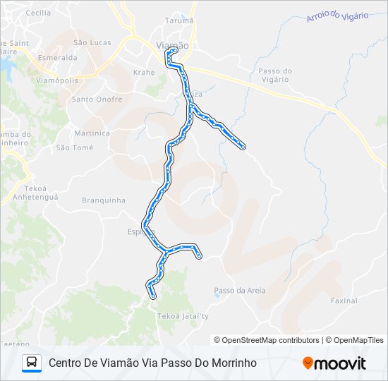 L300 ESPIGÃO bus Line Map