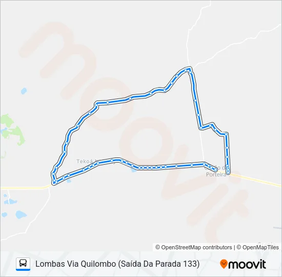L410 CAPÃO DA PORTEIRA Bus Line Map