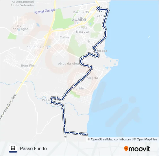 601 PASSO FUNDO / CENTRO Bus Line Map