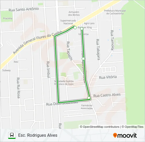 C10 ESCOLAR Bus Line Map