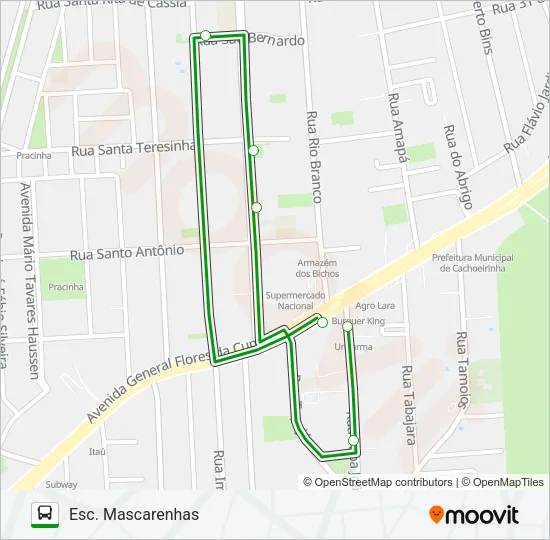 C10 ESCOLAR Bus Line Map