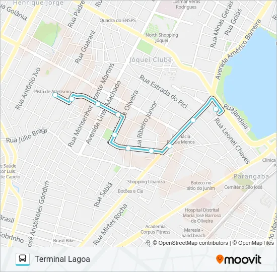 323 JOÃO XXIII / LAGOA Bus Line Map