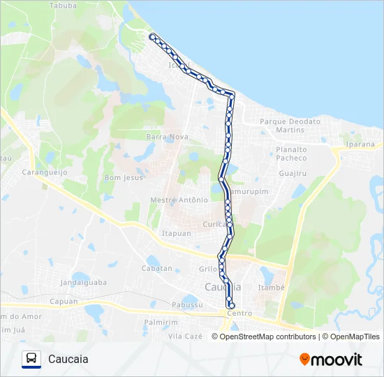 029 ICARAÍ (MUNICIPAL) Bus Line Map
