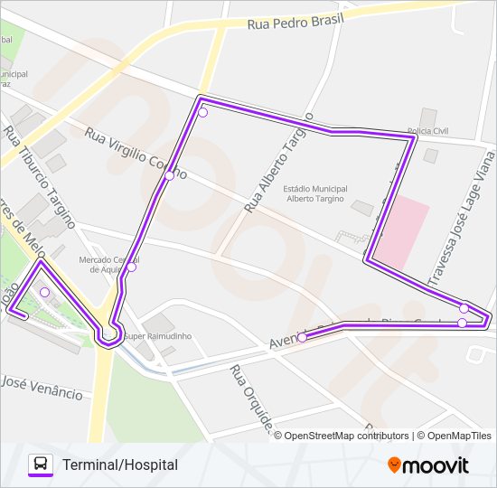 Mapa da linha ROTA ROXA BATOQUE/CENTRO/VIA CARACARÁ de ônibus