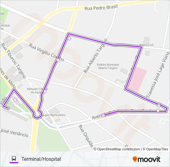ROTA ROXA BATOQUE/CENTRO/VIA CARACARÁ Bus Line Map