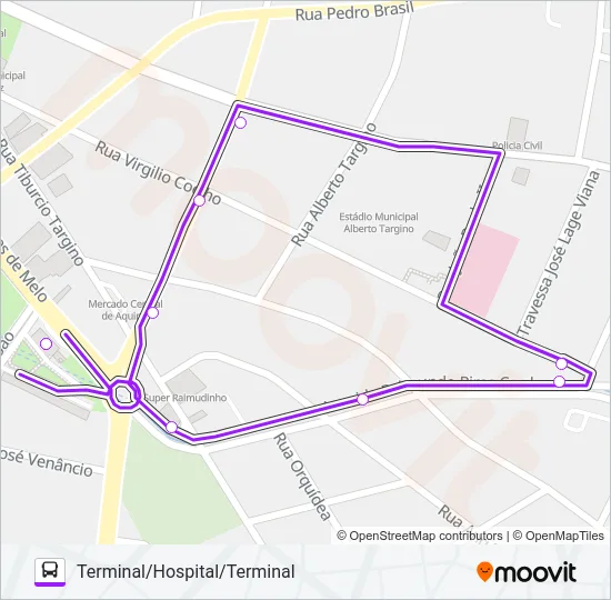 ROTA ROXA BATOQUE/CENTRO/VIA CARACARÁ Bus Line Map