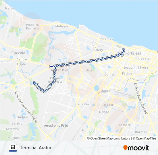 206 ARATURI Bus Line Map