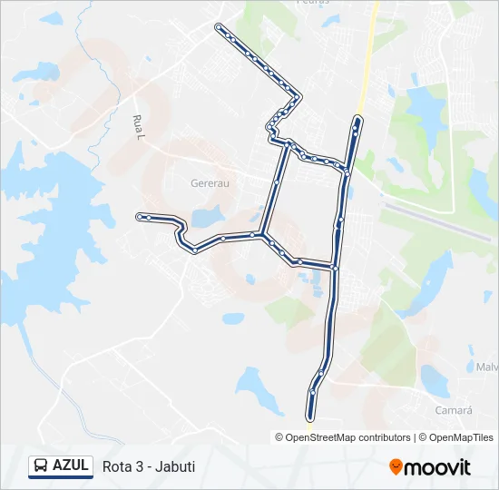 AZUL Bus Line Map