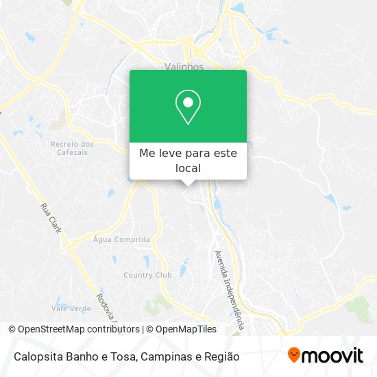 Calopsita Banho e Tosa mapa