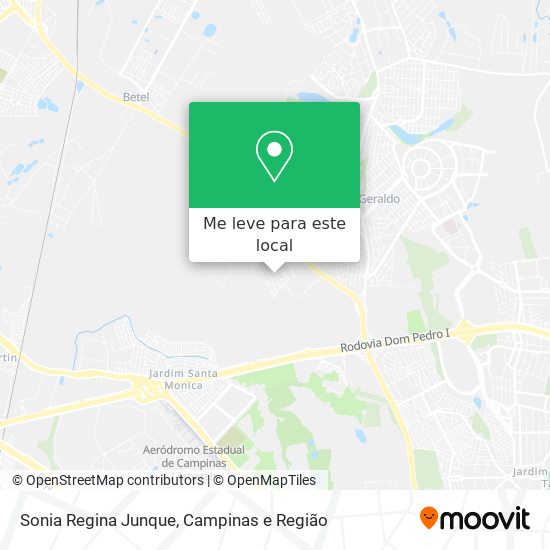 Sonia Regina Junque mapa