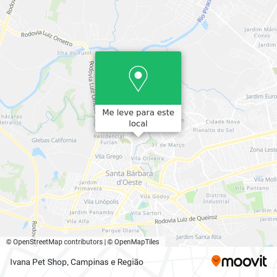 Ivana Pet Shop mapa
