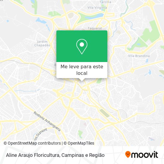 Aline Araujo Floricultura mapa