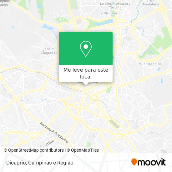 Dicaprio mapa