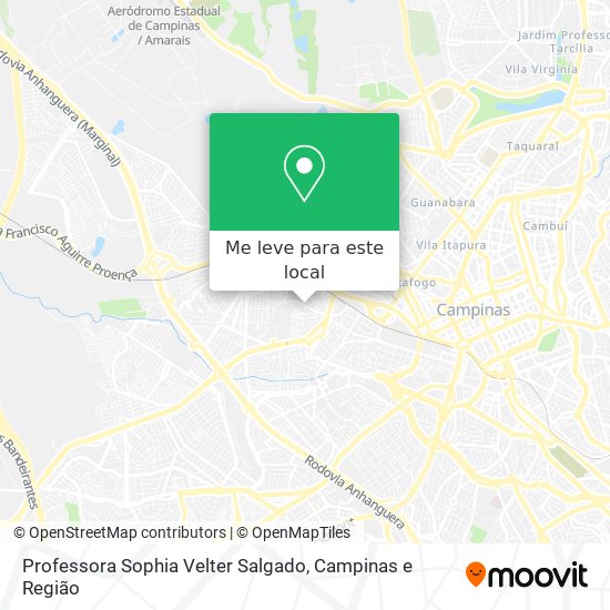 Professora Sophia Velter Salgado mapa