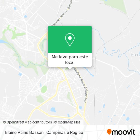 Elaine Vaine Bassani mapa