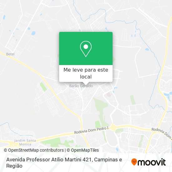 Avenida Professor Atílio Martini 421 mapa