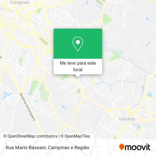 Rua Mario Bassani mapa