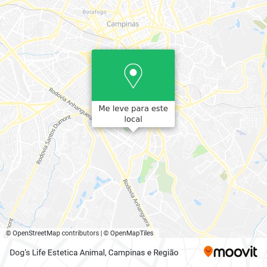 Dog's Life Estetica Animal mapa