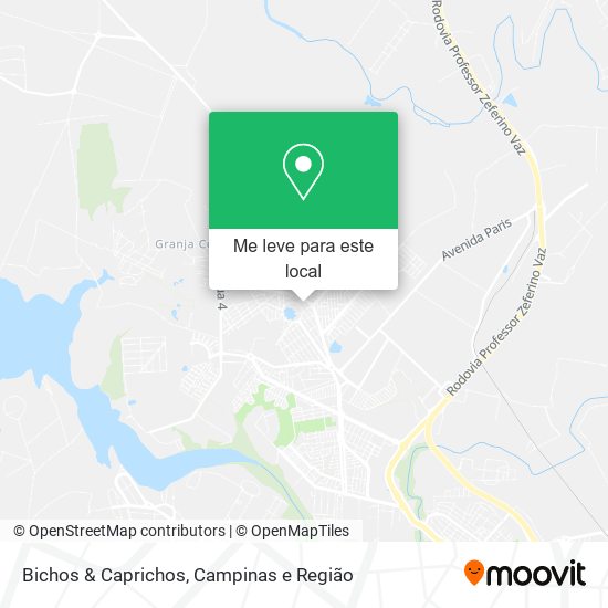 Bichos & Caprichos mapa