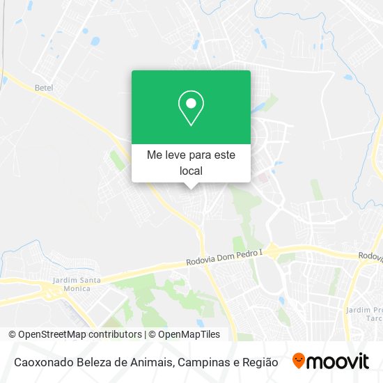 Caoxonado Beleza de Animais mapa