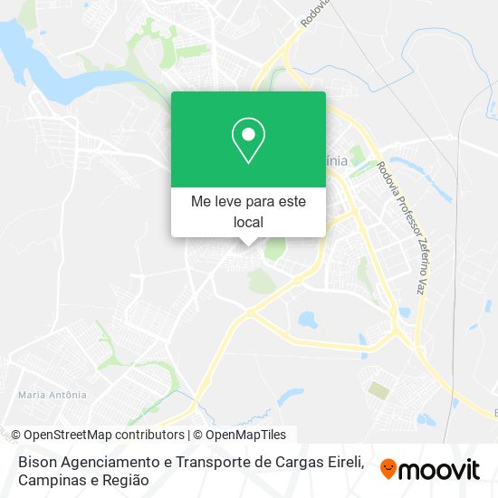 Bison Agenciamento e Transporte de Cargas Eireli mapa