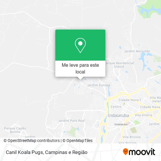 Canil Koala Pugs mapa