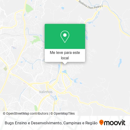 Bugs Ensino e Desenvolvimento mapa