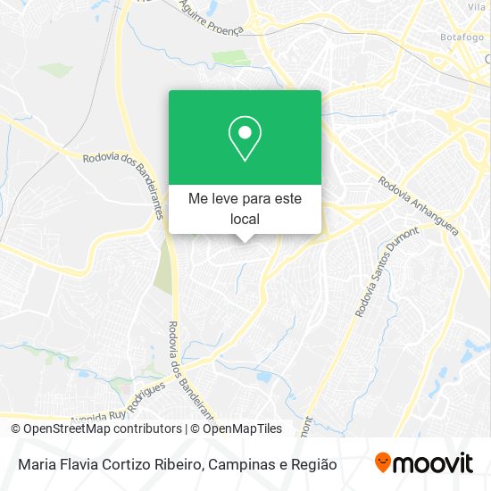 Maria Flavia Cortizo Ribeiro mapa